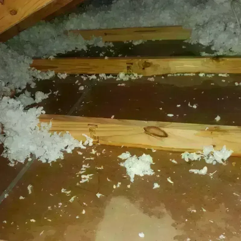 Attic Water Damage in Hooverson Heights, WV